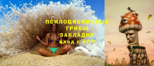крисы Арсеньев