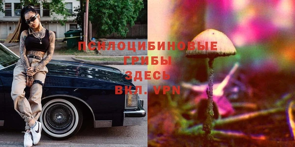 PSILOCYBIN Алексин