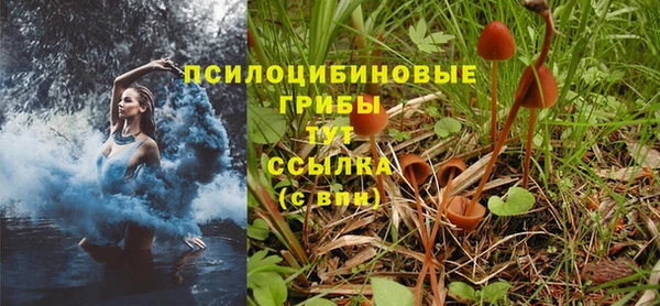 круглые Армянск