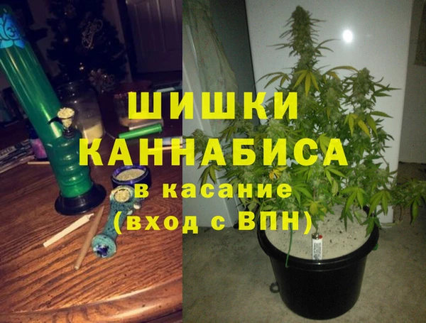 крисы Арсеньев