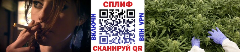 Бошки марихуана MAZAR  Асбест 